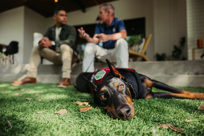 Purina Dog Chow Joins Forces with Wilmer Valderrama to Celebrate Visible Impact Award Finalists