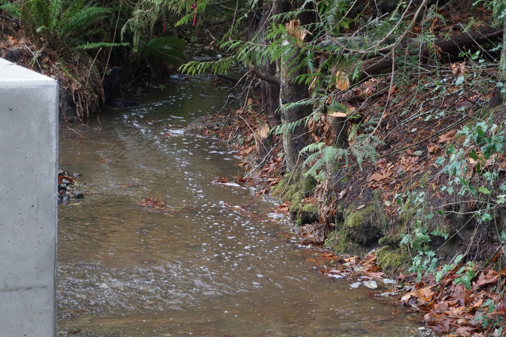 DVIDS – News – Navy completes culvert project at Manchester Fuel Depot