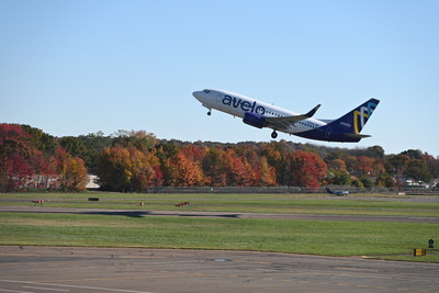 Avelo Soars into Second Year at Tweed as Connecticut's Most Convenient Airline