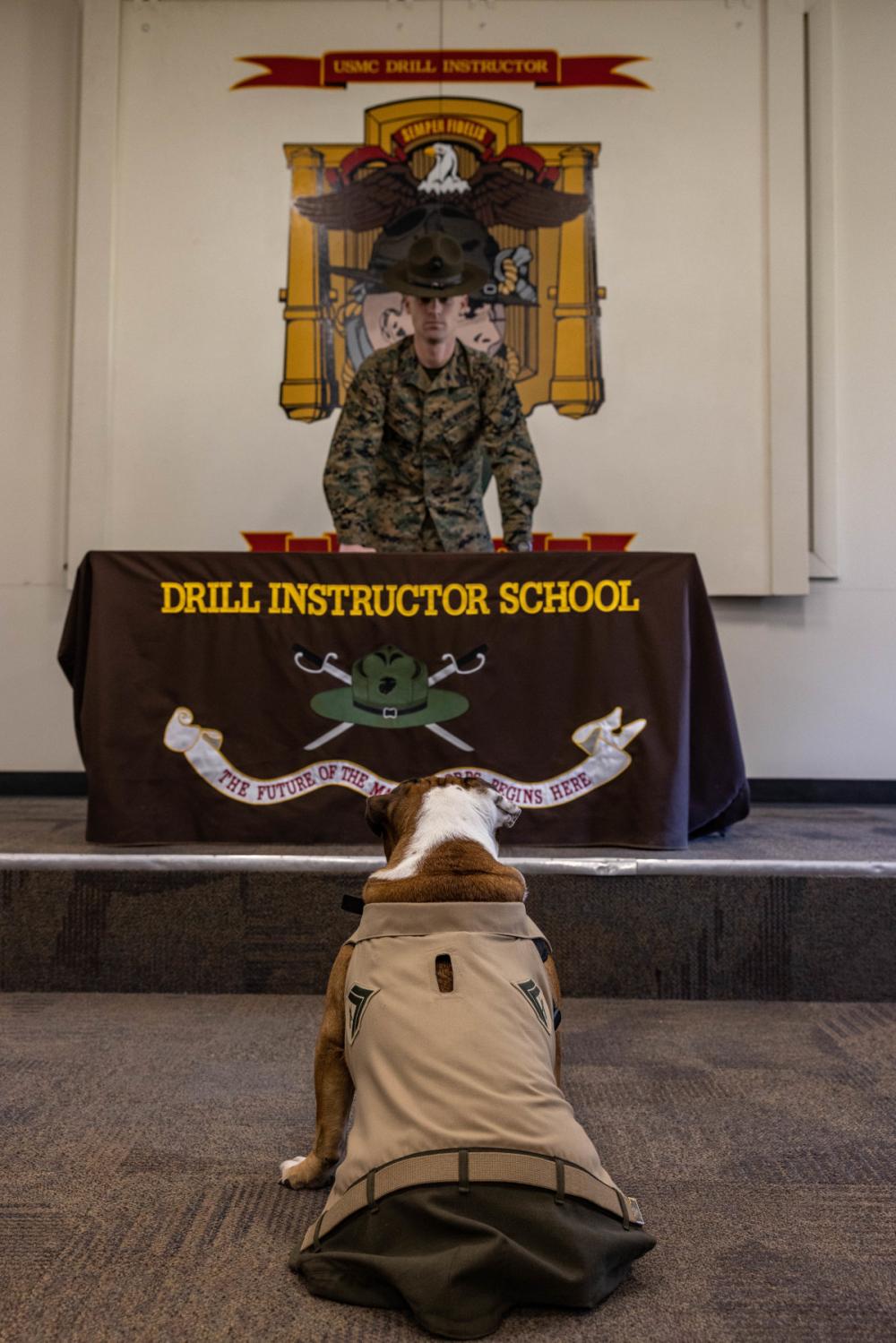 DVIDS – Images – Manny Visits Drill Instructor School [Image 1 of 9]