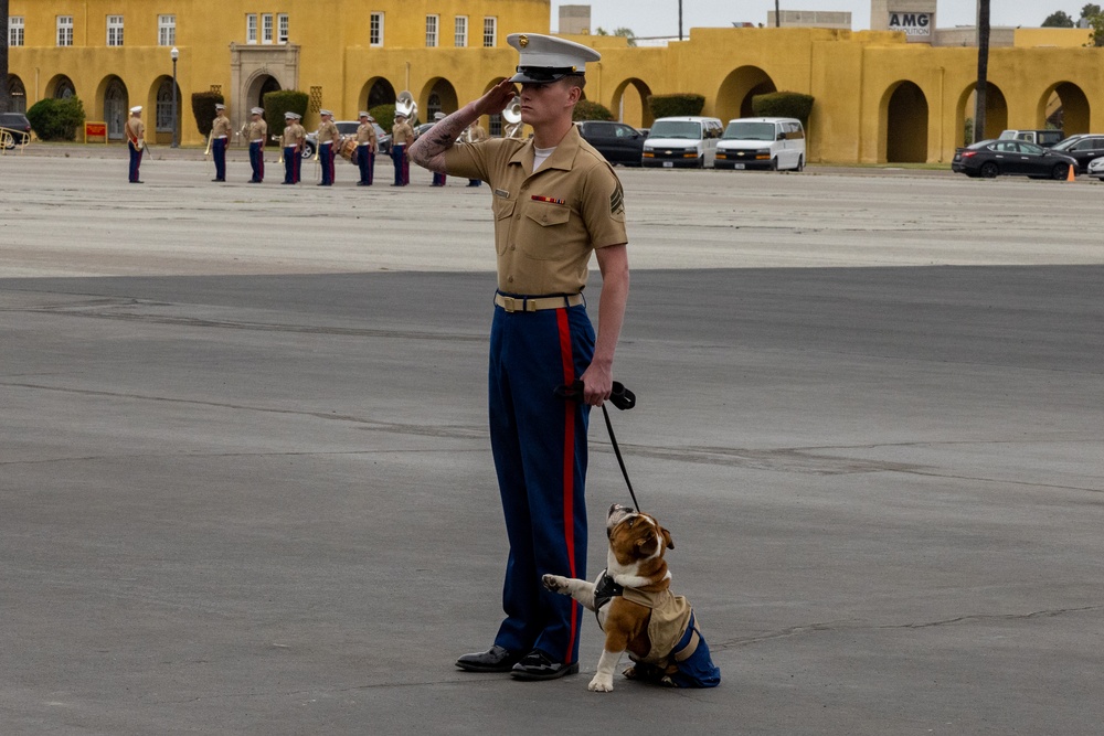 DVIDS – Images – Fox Company Graduation [Image 1 of 8]