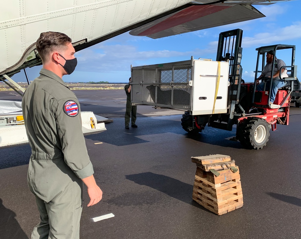 DVIDS – News – Imagery Available: U.S. Coast Guard provides safe transport of Monk Seal pups from Kailua-Kona to Midway Island Refuge for release