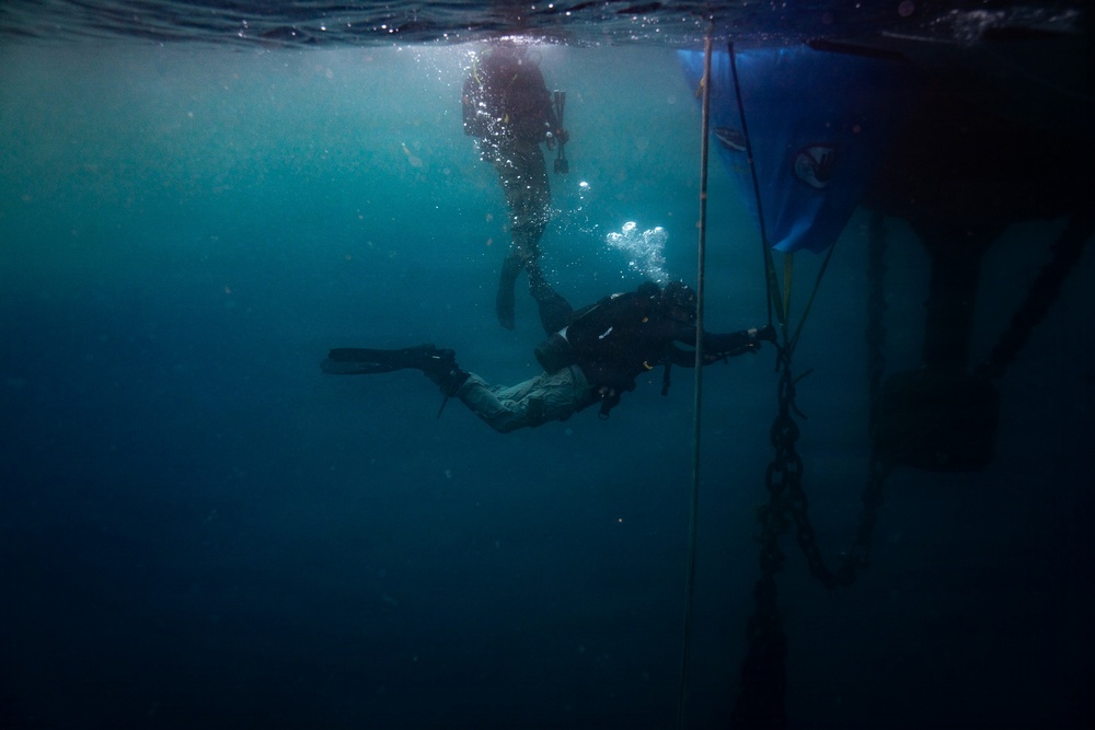 DVIDS – Images – U.S. Coast Guard divers conduct aids to navigation operations [Image 6 of 11]